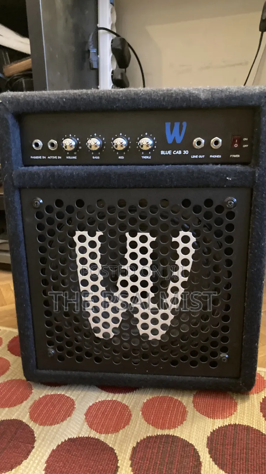 Warwick Blue Cab 30 Bass Guitar Combo