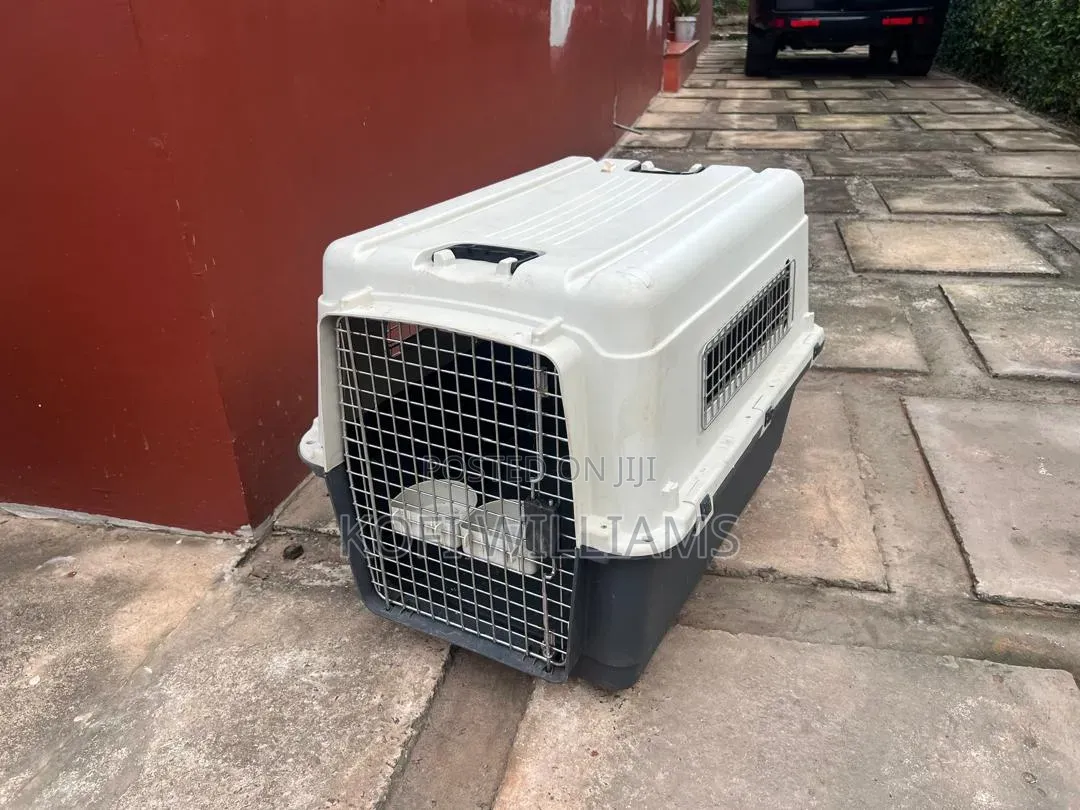 Import X Export Dog Crate