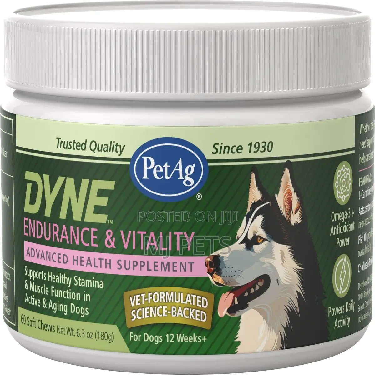 DYNE Endurance Vitality Soft Chews