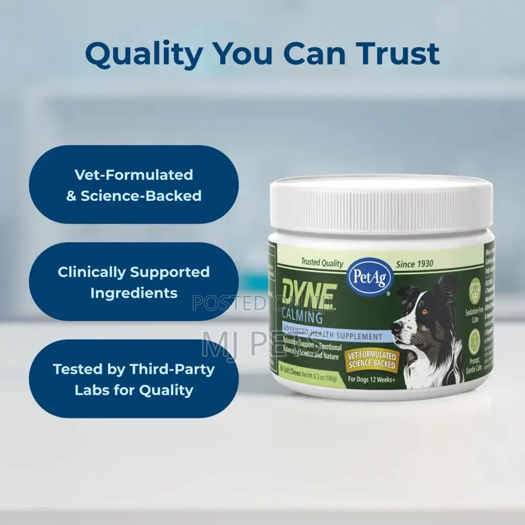 DYNE Calming Soft Chews
