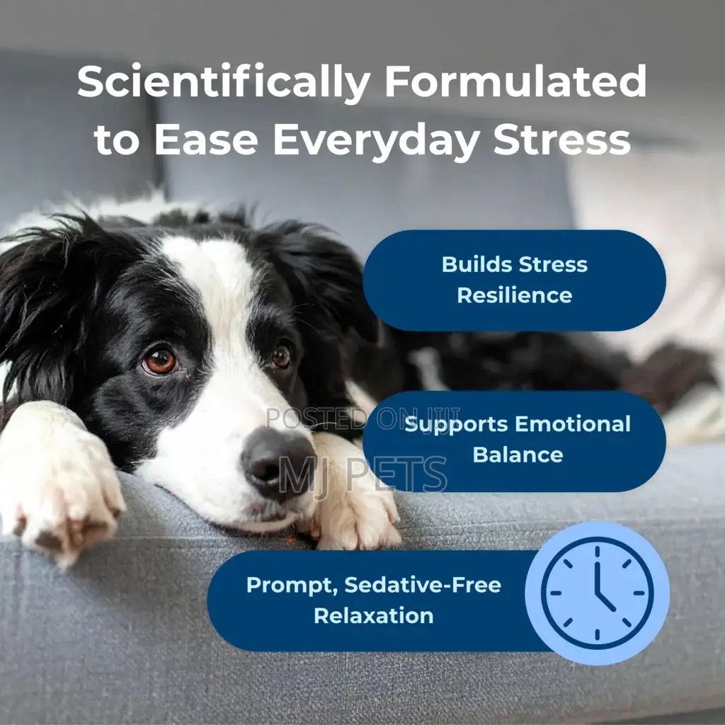 DYNE Calming Soft Chews
