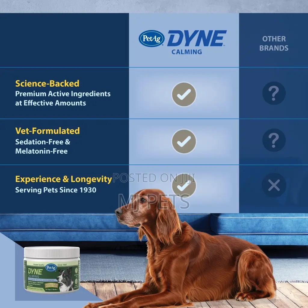 DYNE Calming Soft Chews