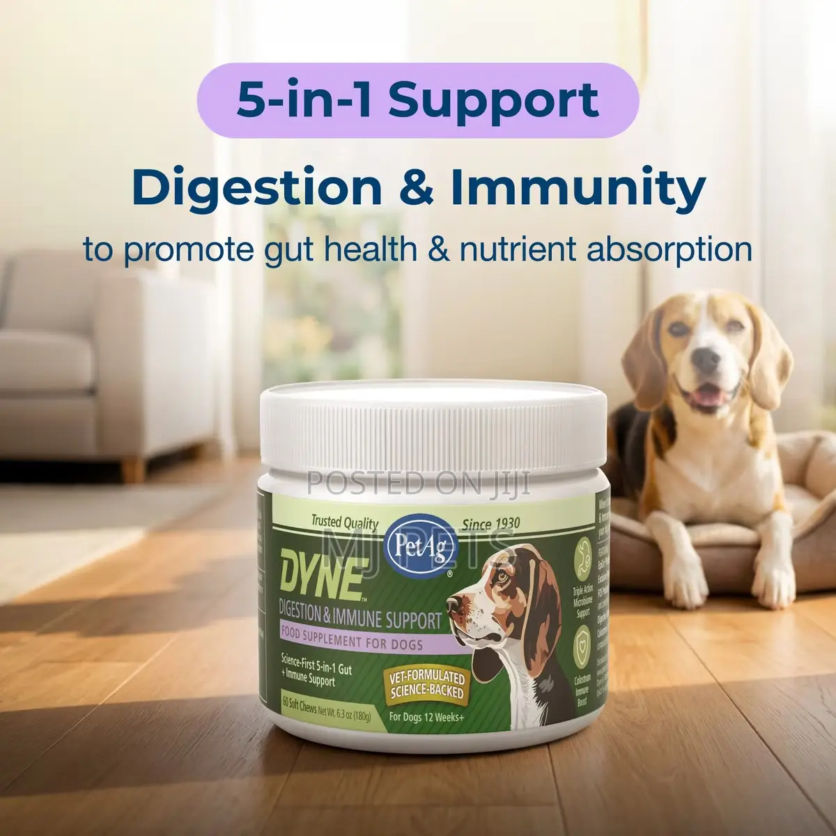 Dyne Chicken Digestion Immune Support Supplement for Dogs