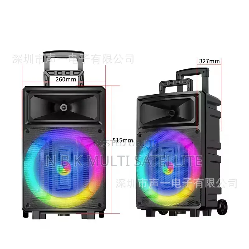 12 Inch Bluetooth Subwoofer Speaker With 2 Wireless Microphone