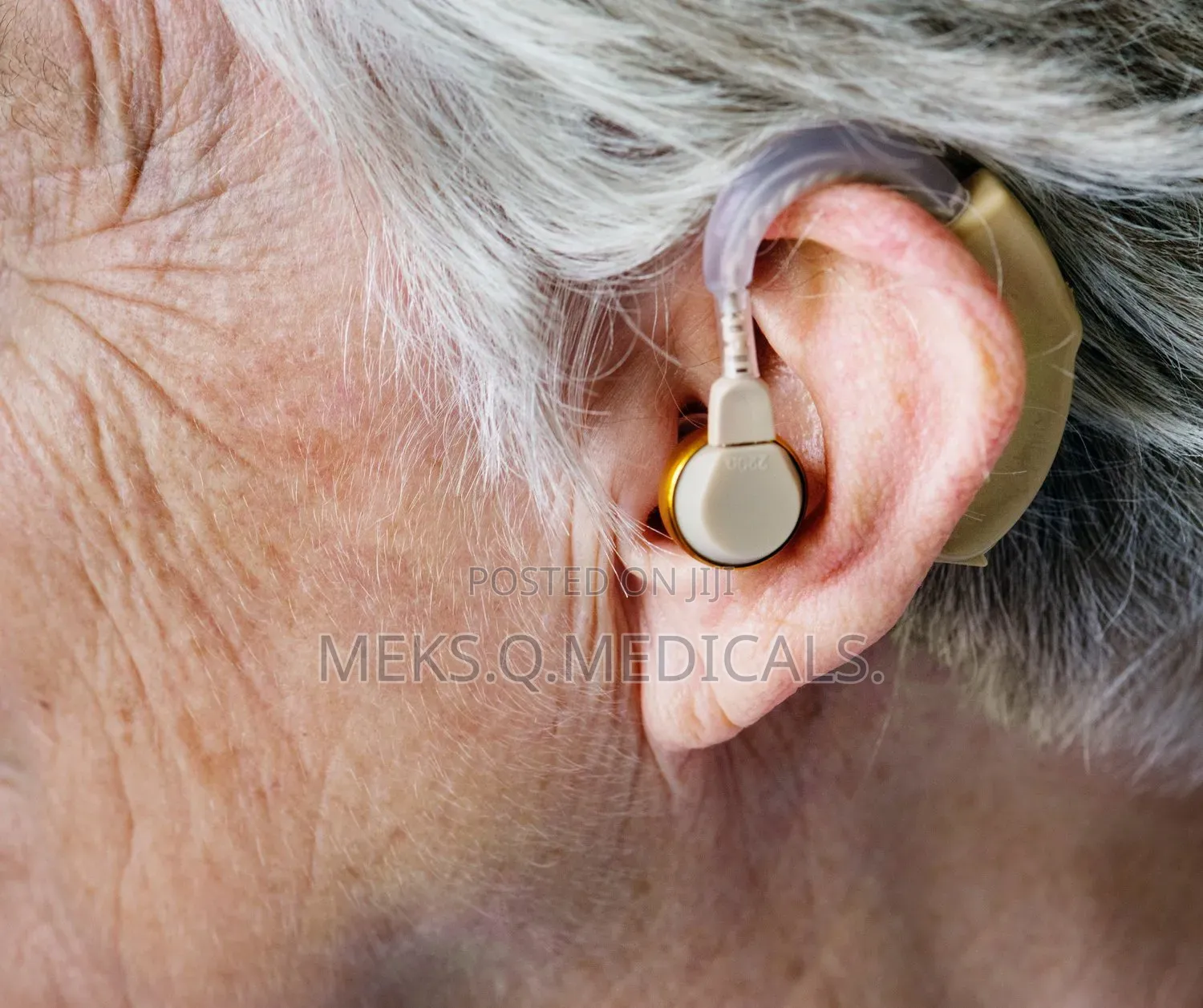 Hearing Aid