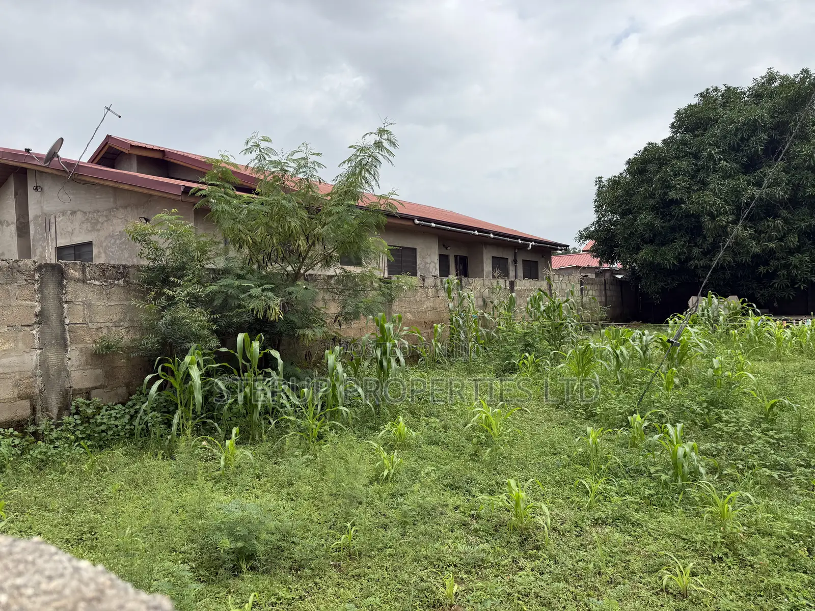55/100sqft Plot Land for Sale at Adenta