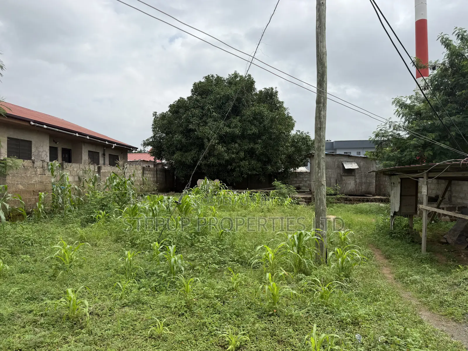 55/100sqft Plot Land for Sale at Adenta