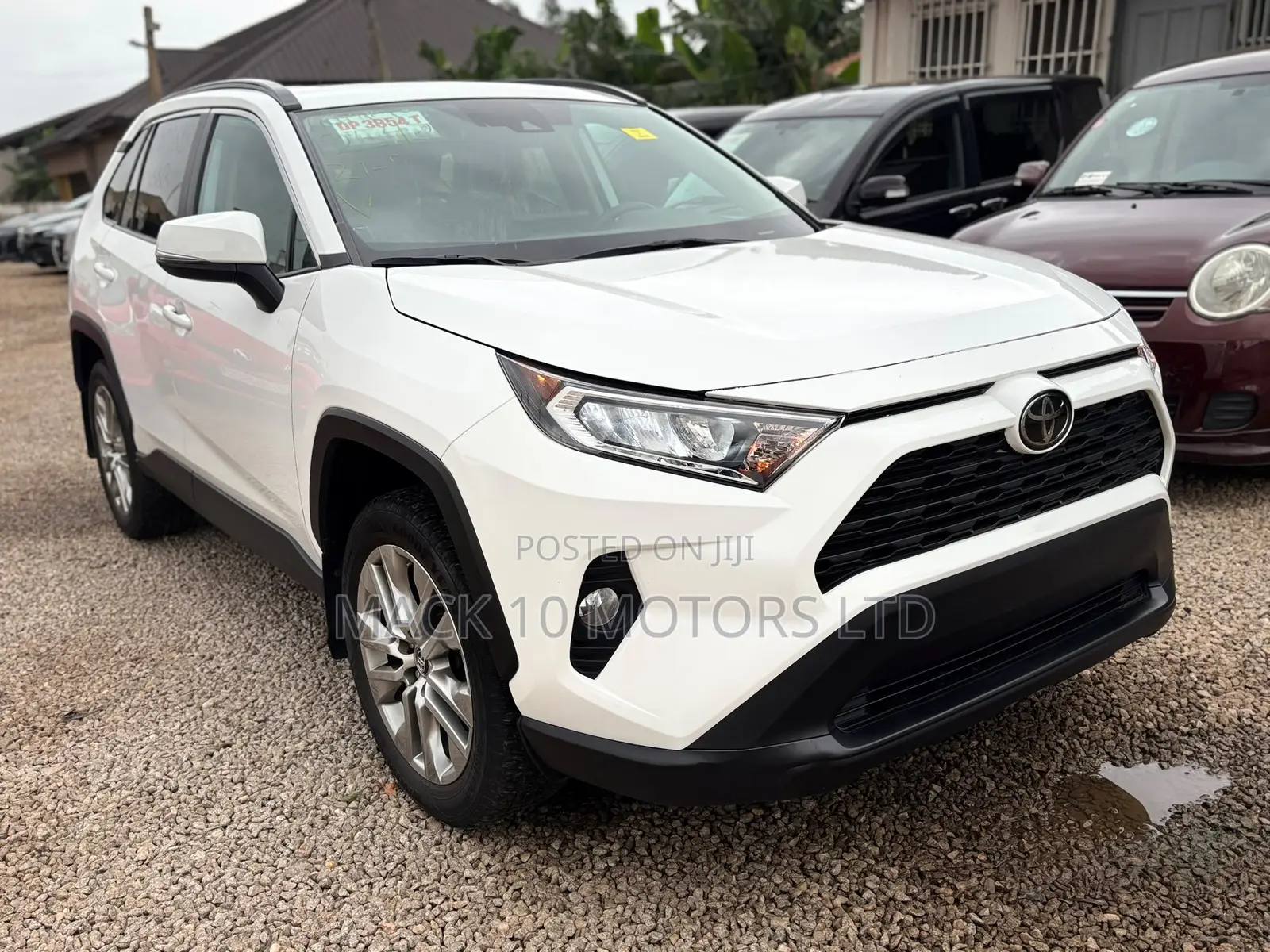 Toyota RAV4 XLE 2022 White