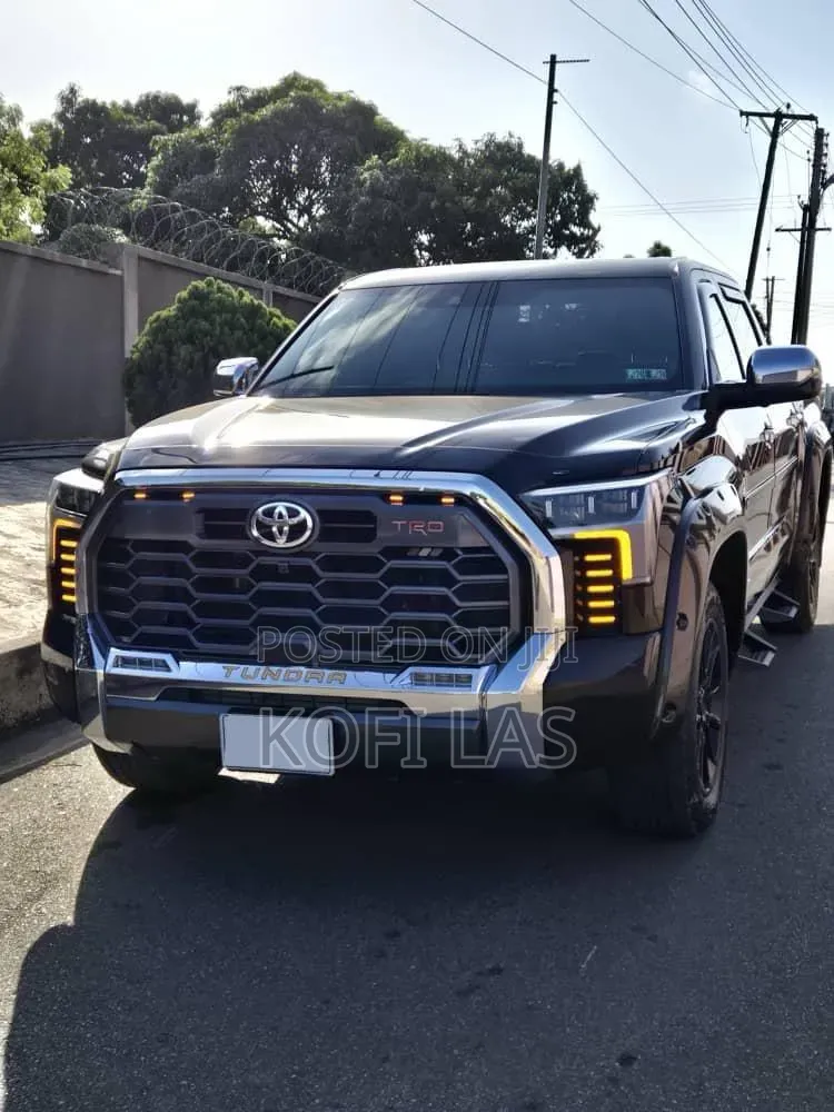 Toyota Tundra 2023 Brown