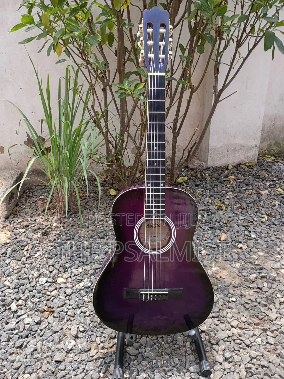 Ashton CG34TP Acoustic Guitar