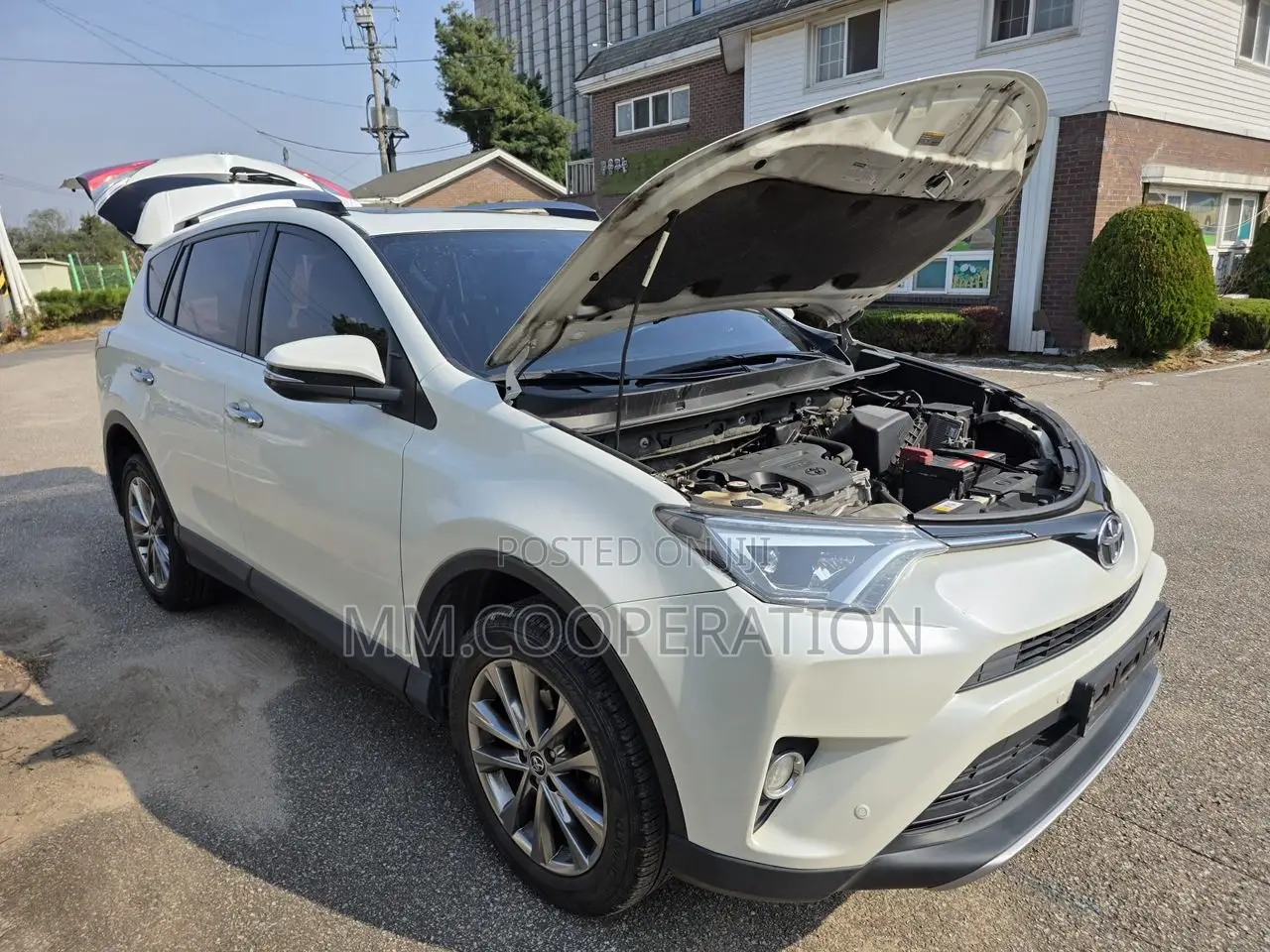 Toyota RAV4 XLE AWD (2.5L 4cyl 6A) 2017 White