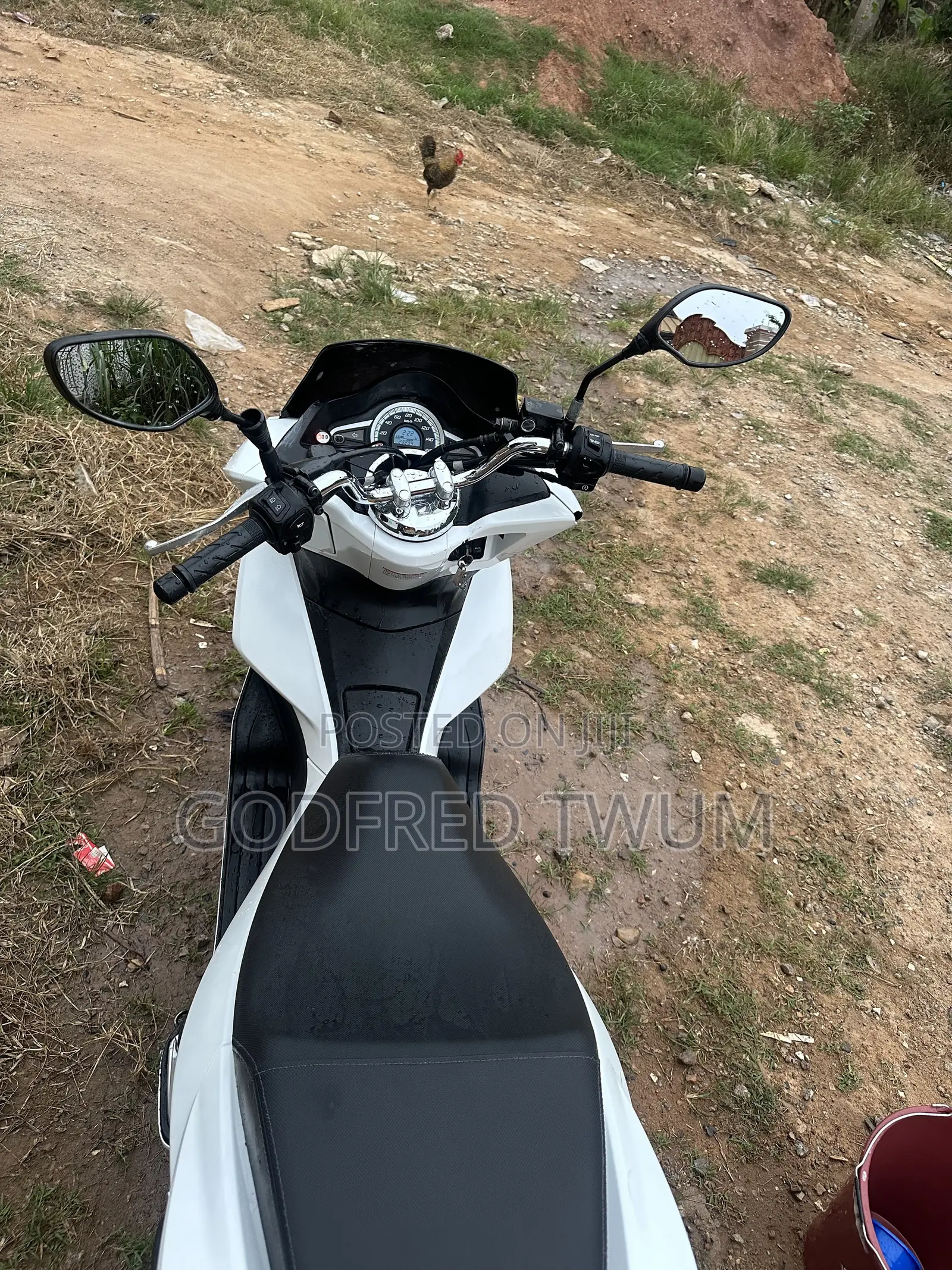 Honda 1998 White
