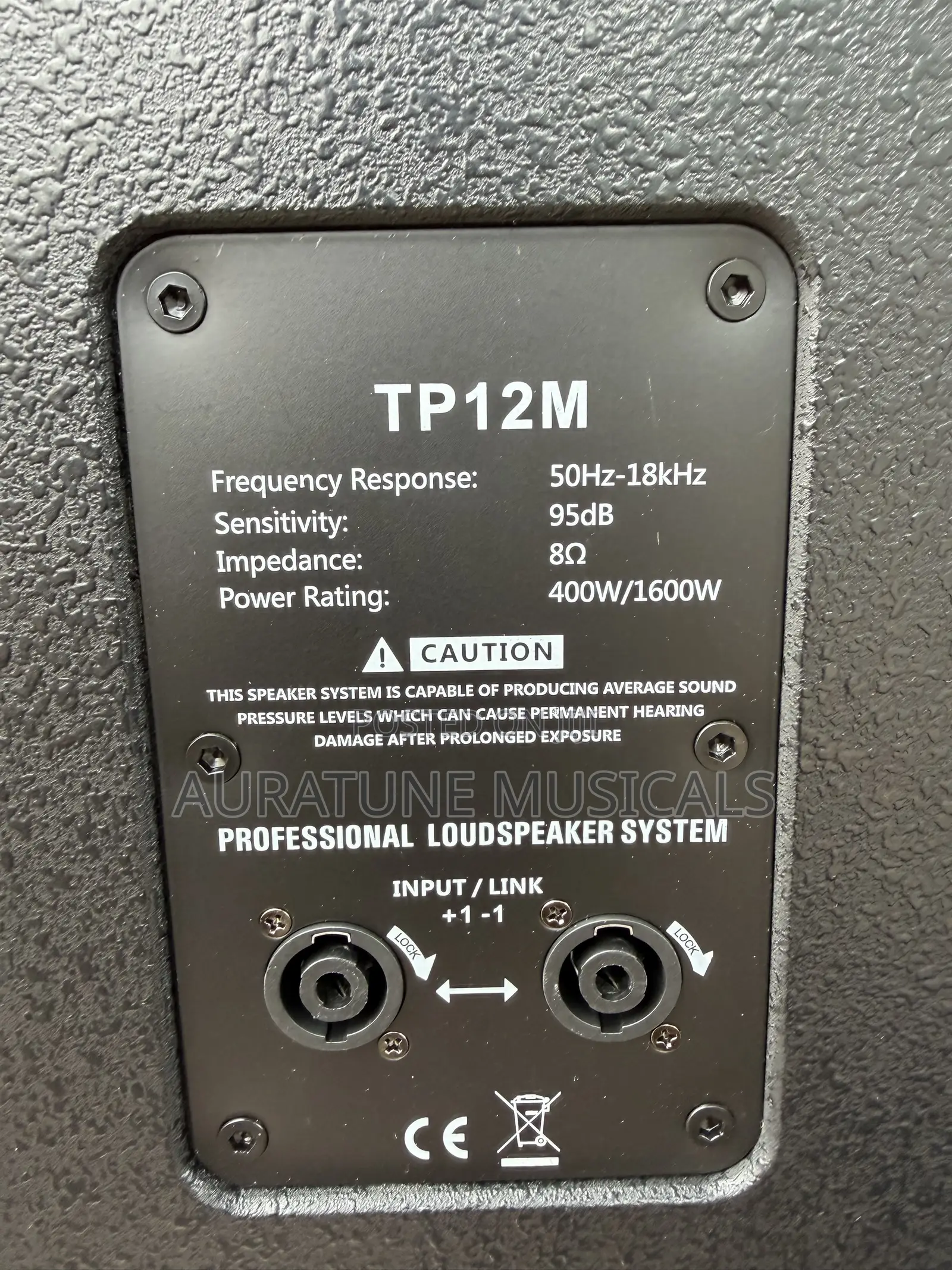 RCF TP12M Passive Monitor