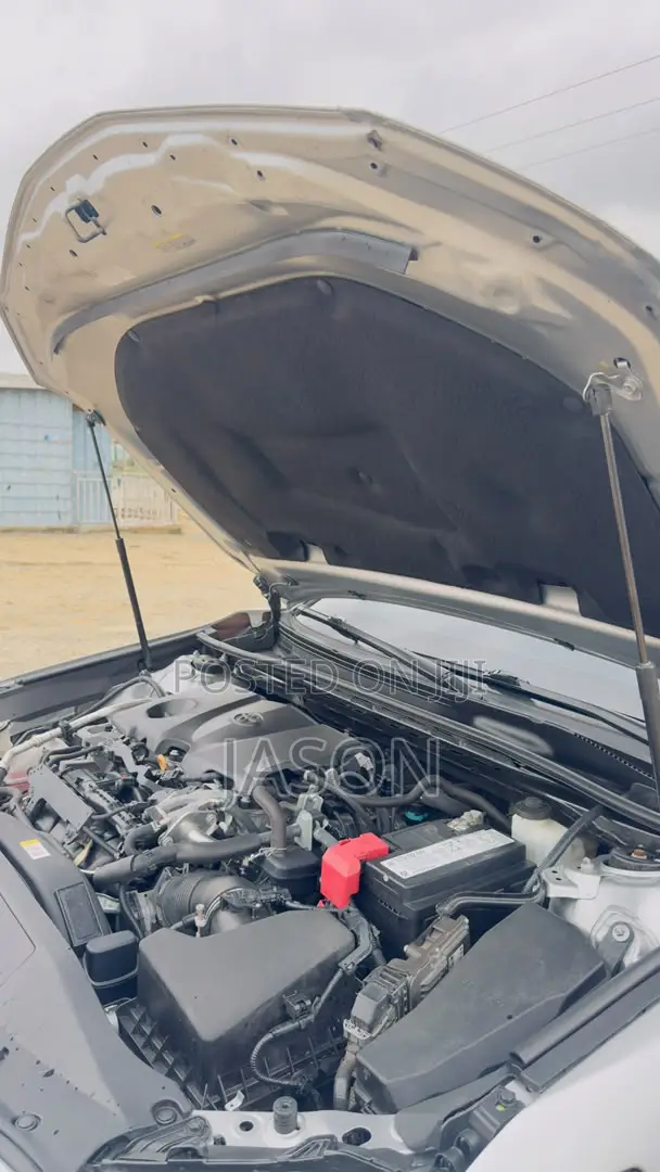 Toyota Camry LE (2.5L 4cyl 8A) 2019 Silver