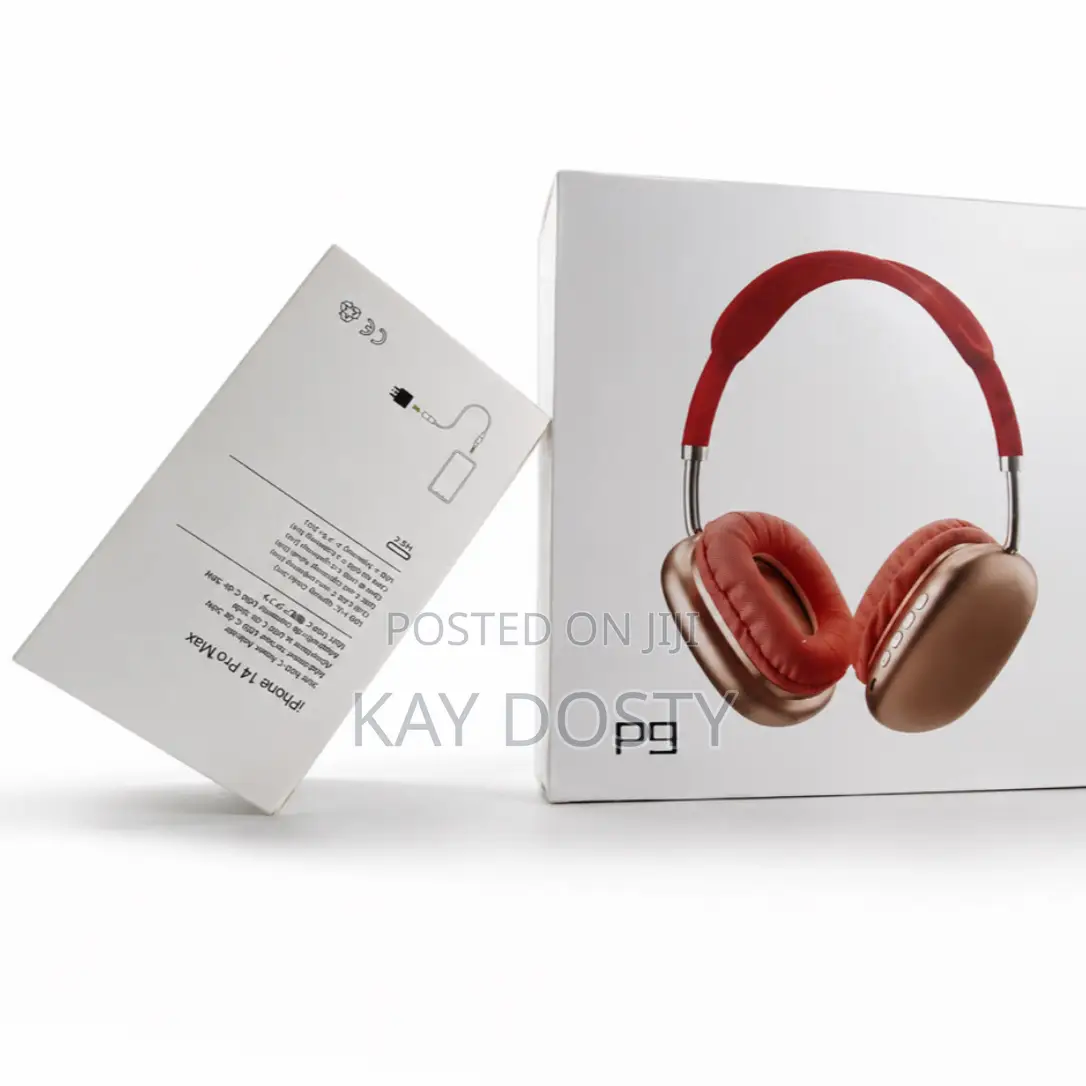 Headphone + Original iPhone Charger