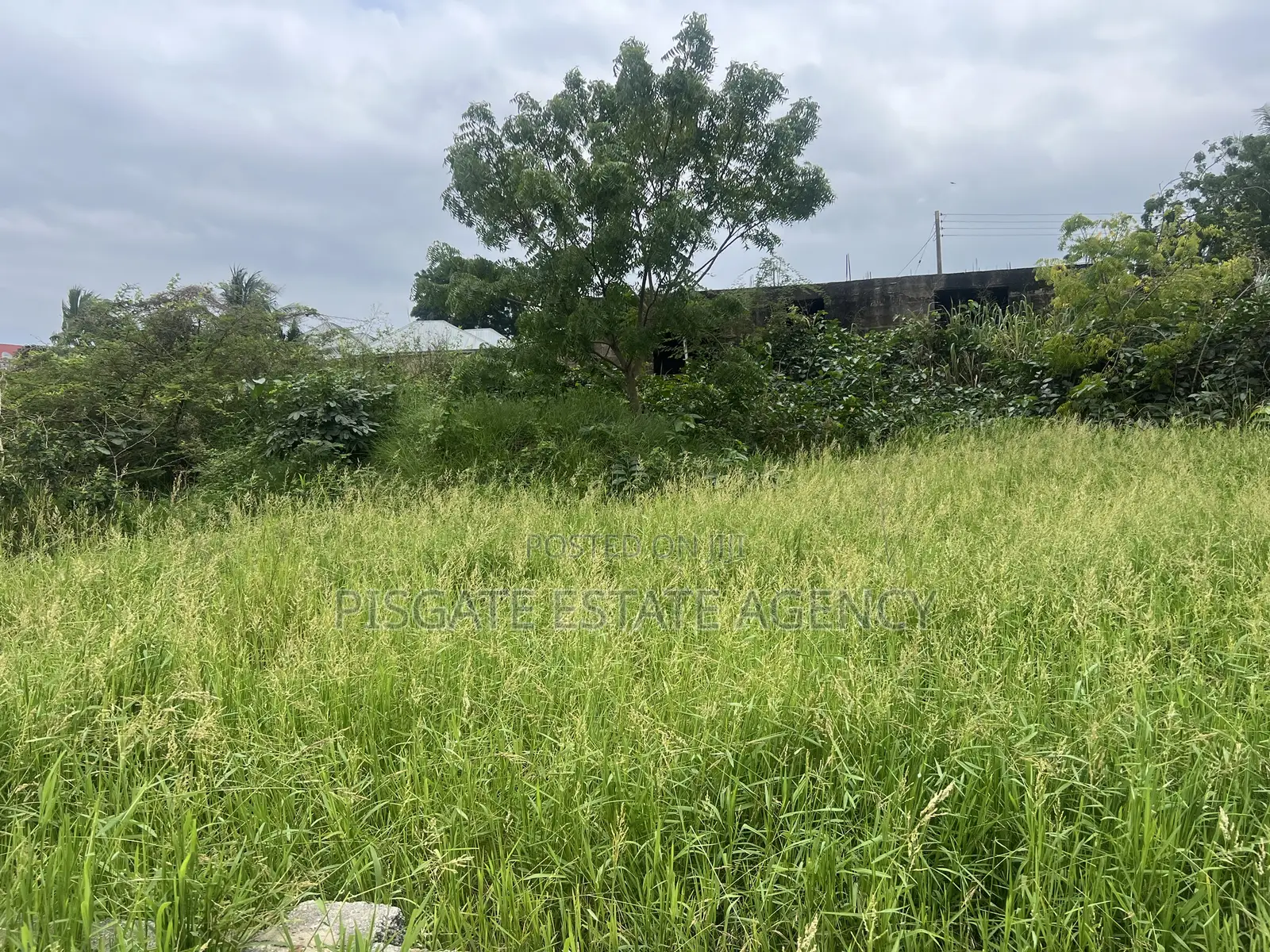 Half Plot at Ablekuma-Nsakina