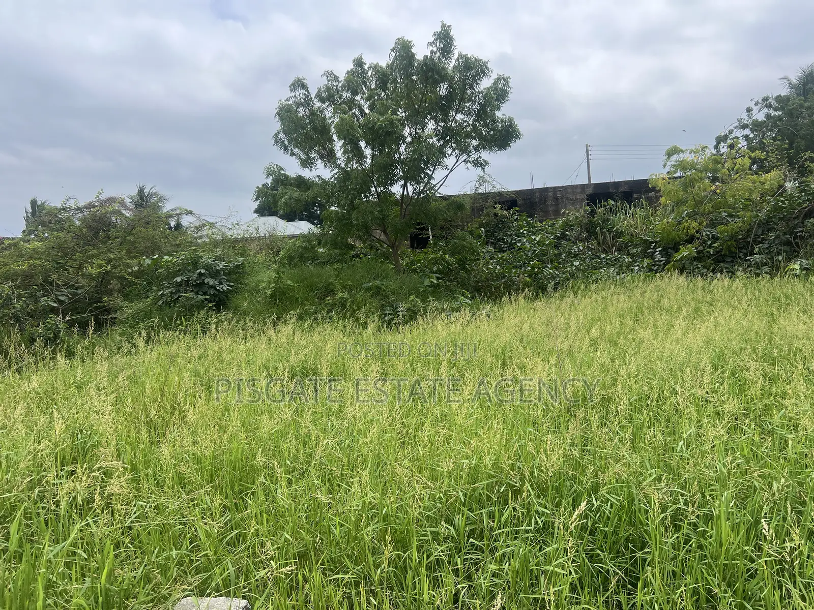 Half Plot at Ablekuma-Nsakina