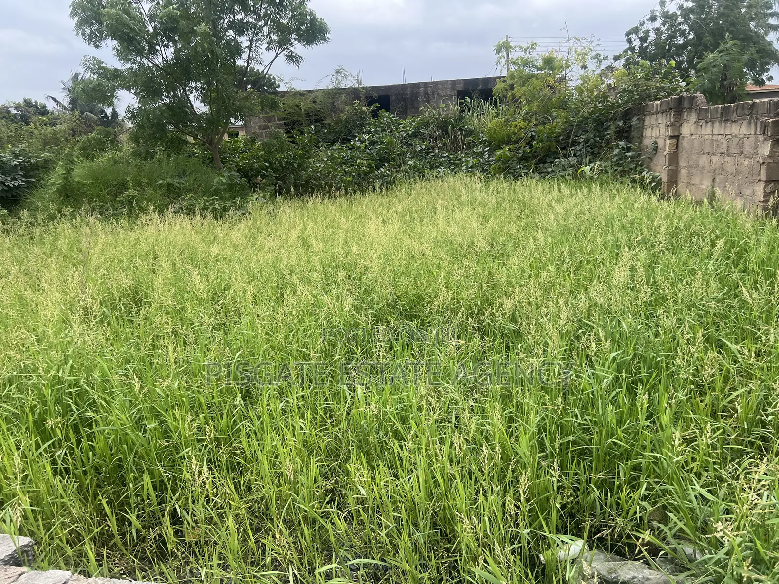 Half Plot at Ablekuma-Nsakina