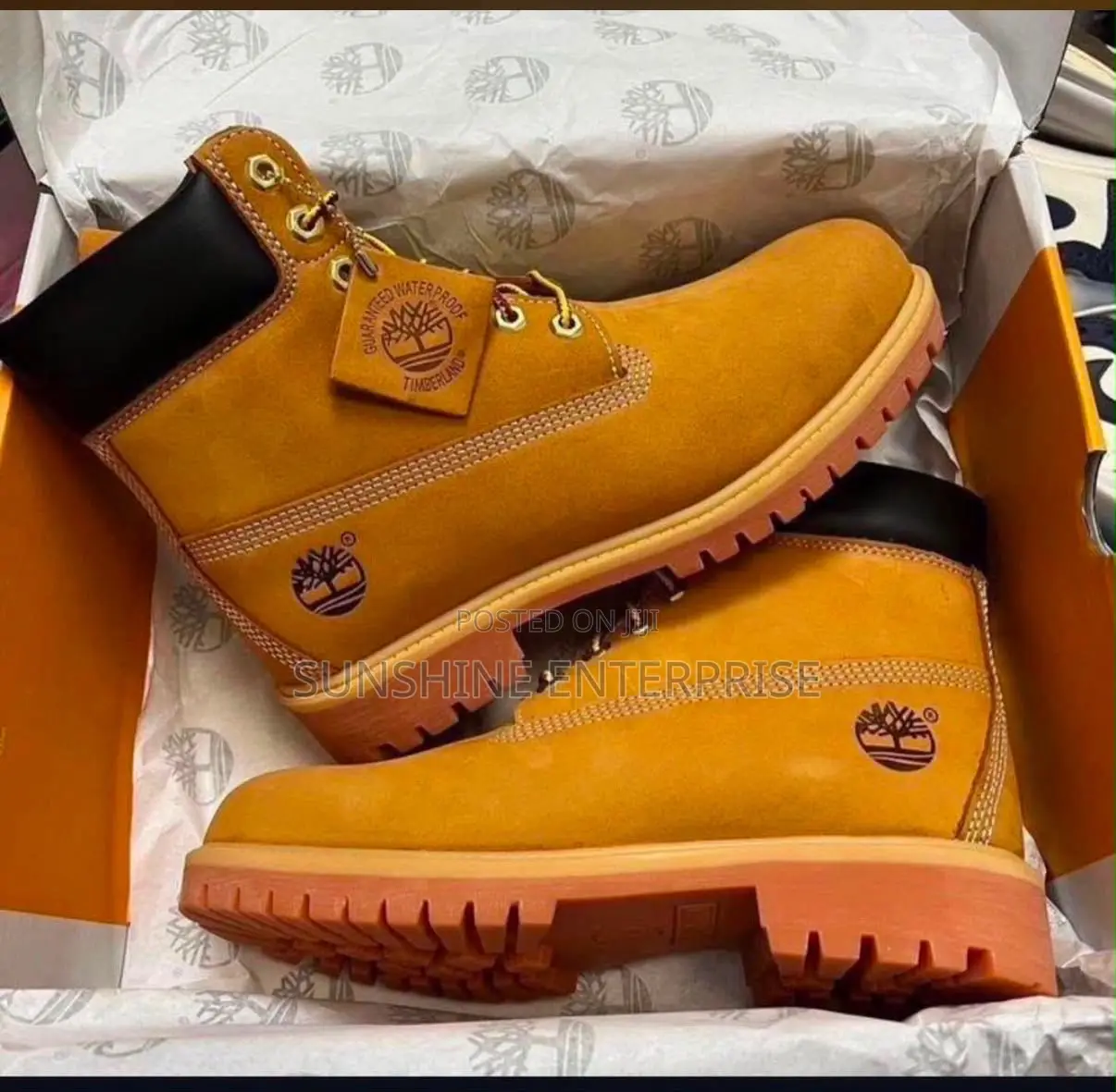 Timberland Shoe