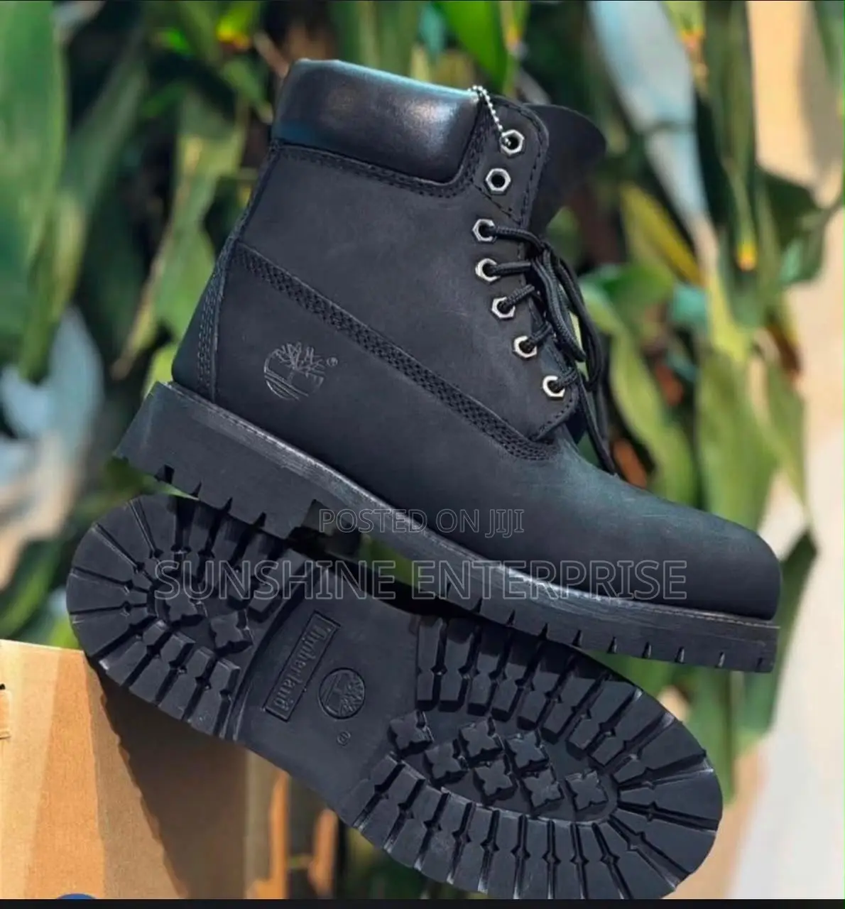 Timberland Shoe