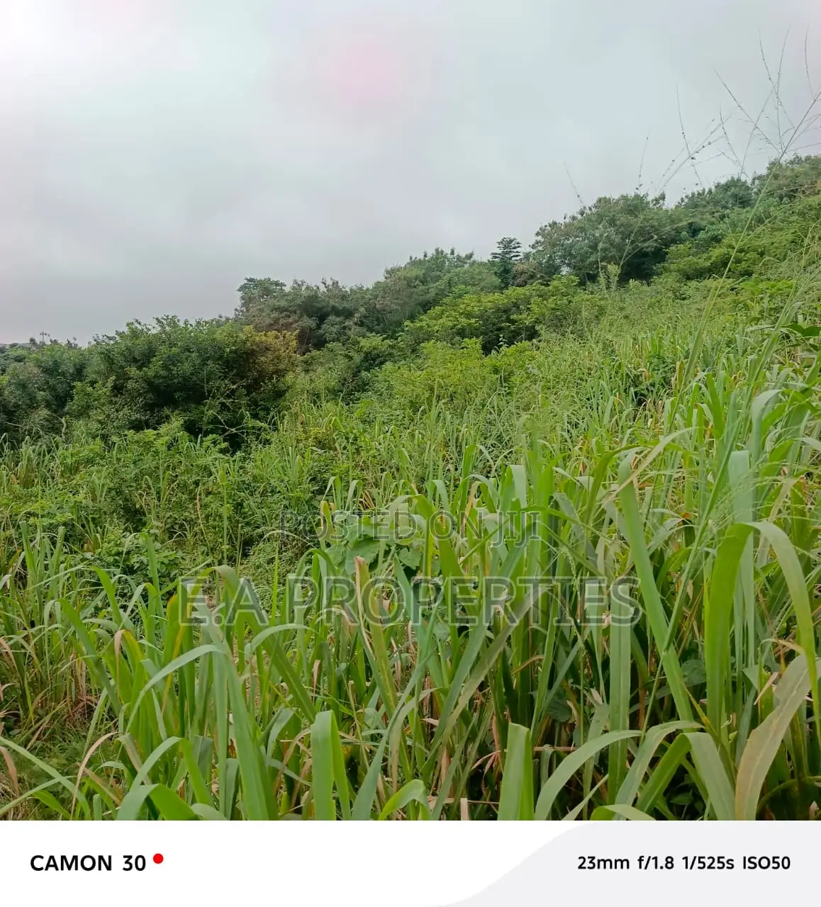 6plots for Land for Sale at Aburi Peduase