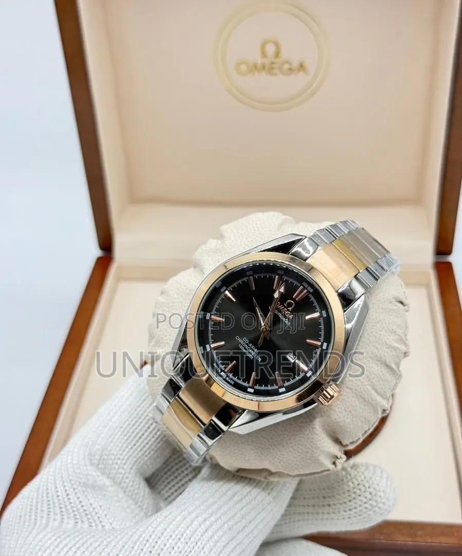 OMEGA Seamaster Aqua Terra Watch (Gold)