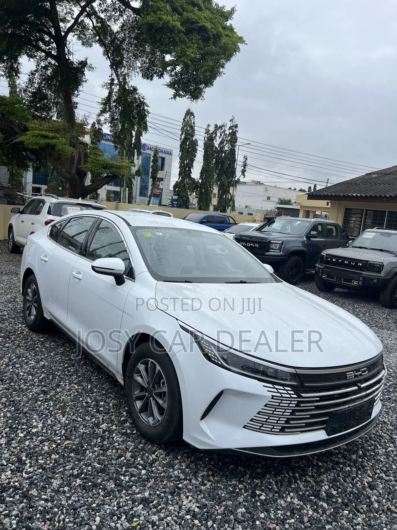New BYD Qin Plus DM-i 2025 White