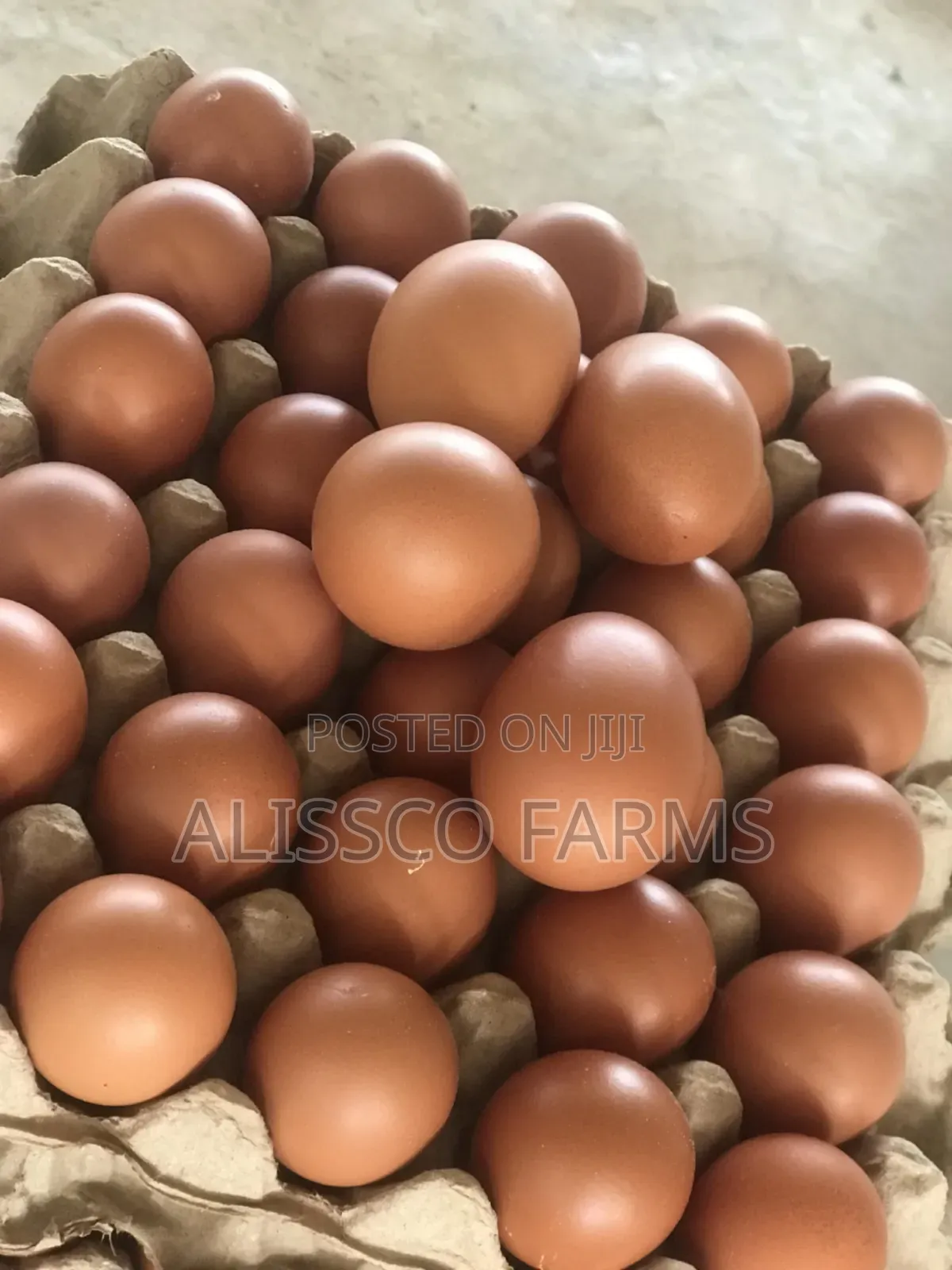 Eggs Table Eggs