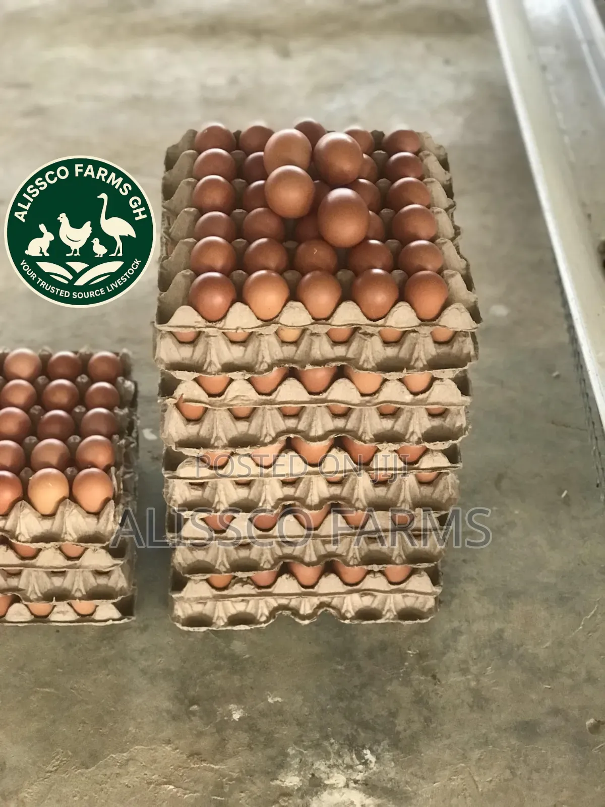 Eggs Table Eggs