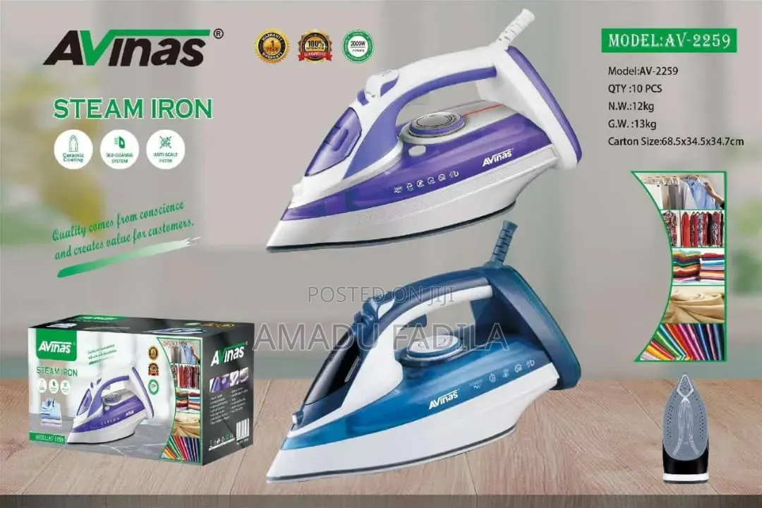 Electric Steam Iron