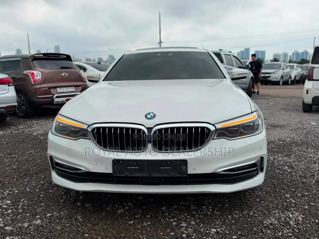 BMW 520i 2019 White