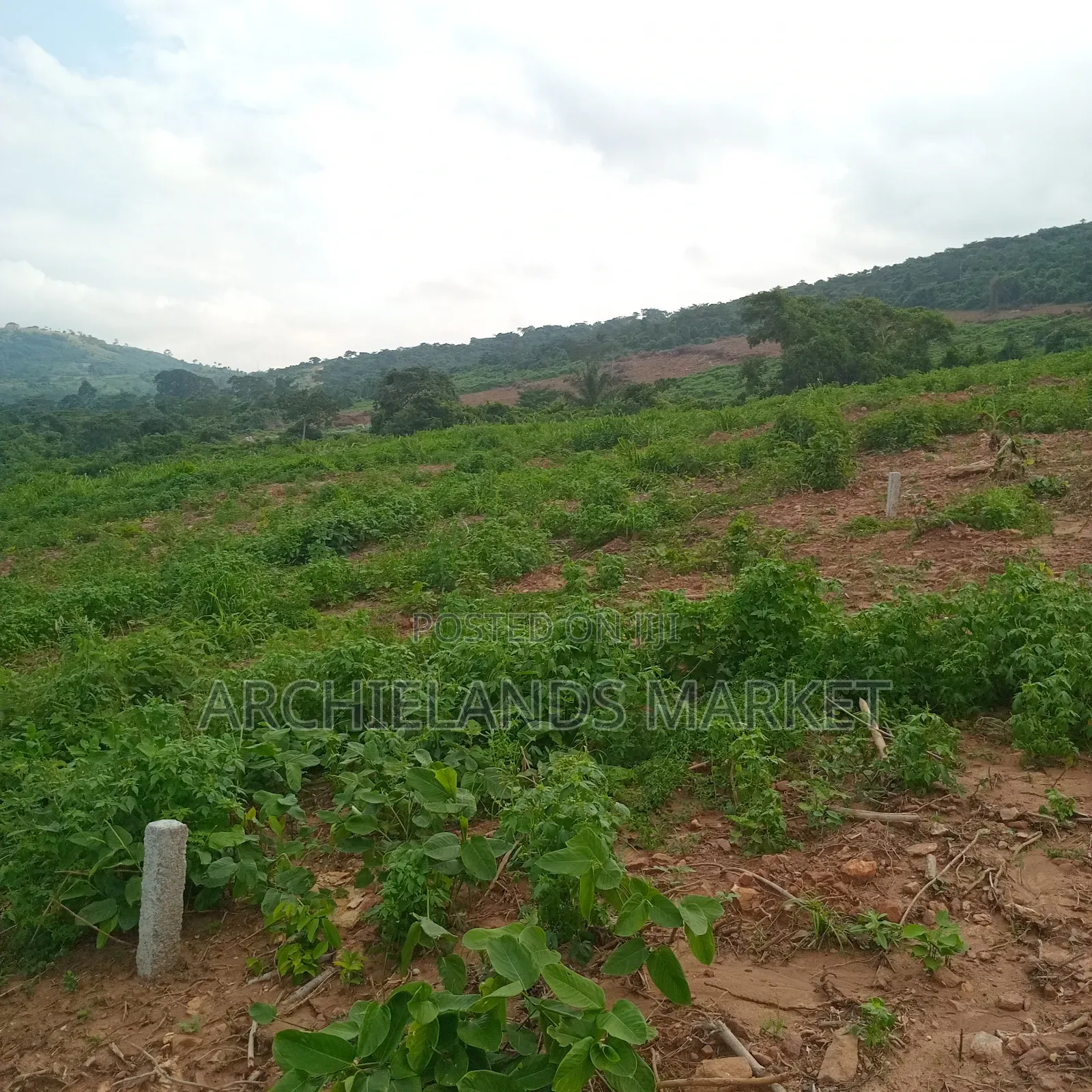 Land at Aburi Hills for Sale