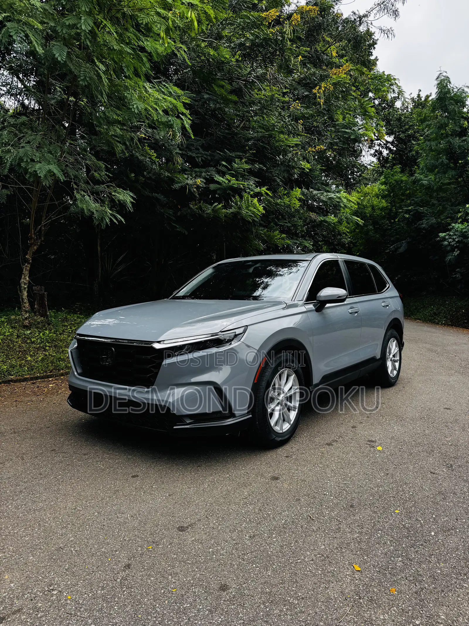 Honda CR-V EX-L AWD 2025 Gray