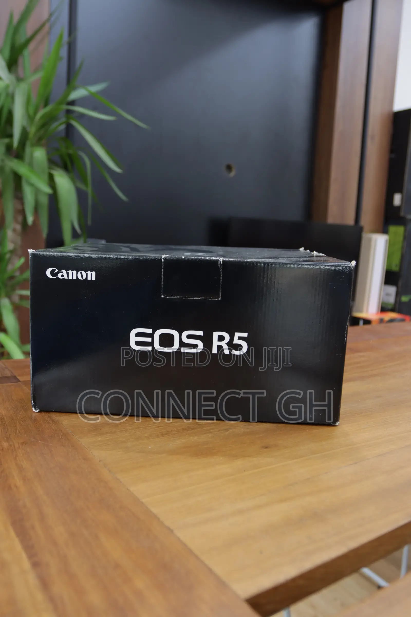 Canon EOS R5 Mirrorless Camera
