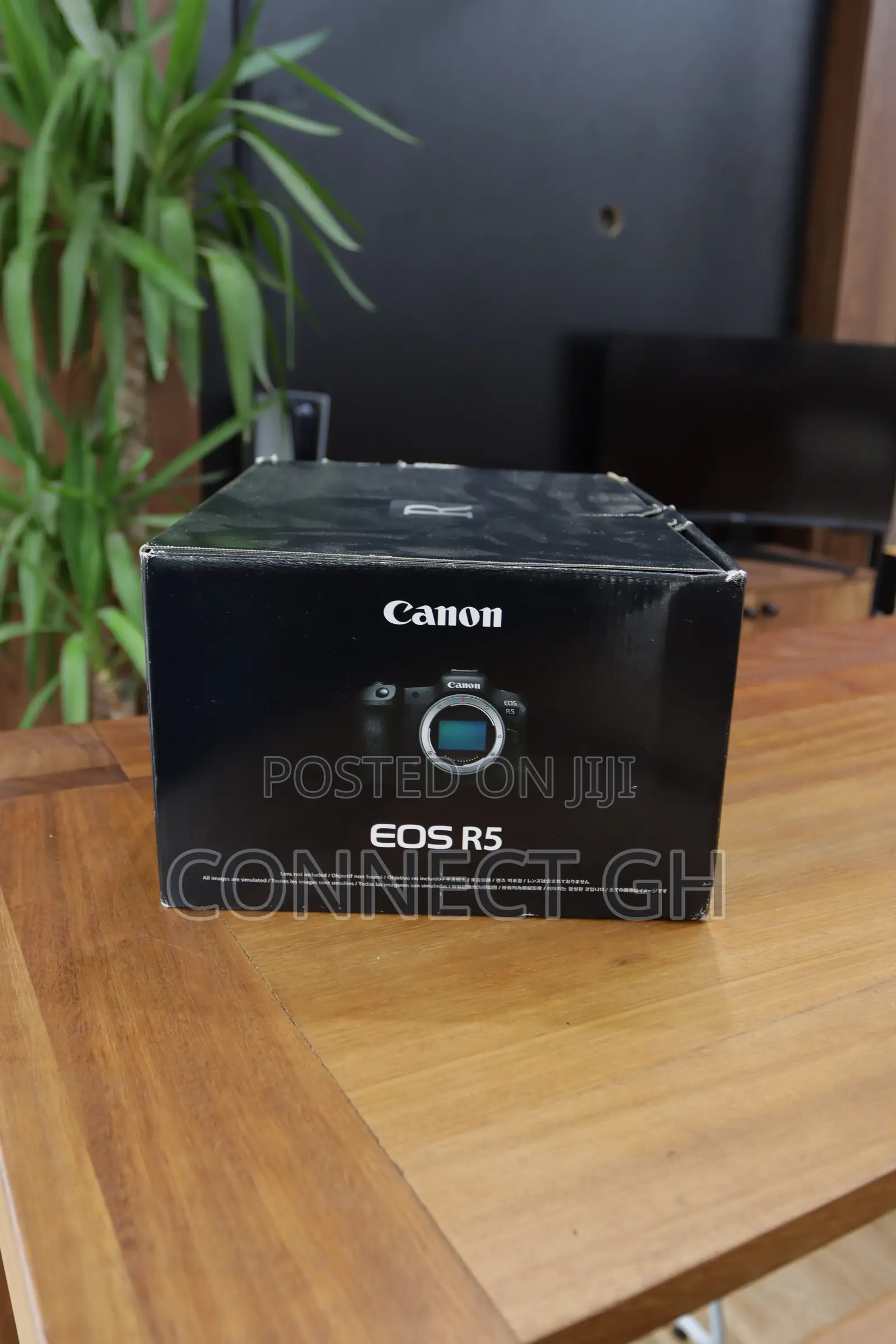 Canon EOS R5 Mirrorless Camera