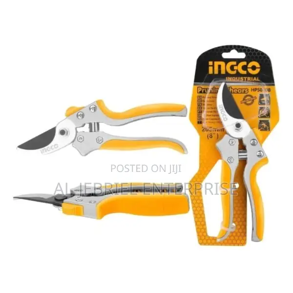 Pruning Shear