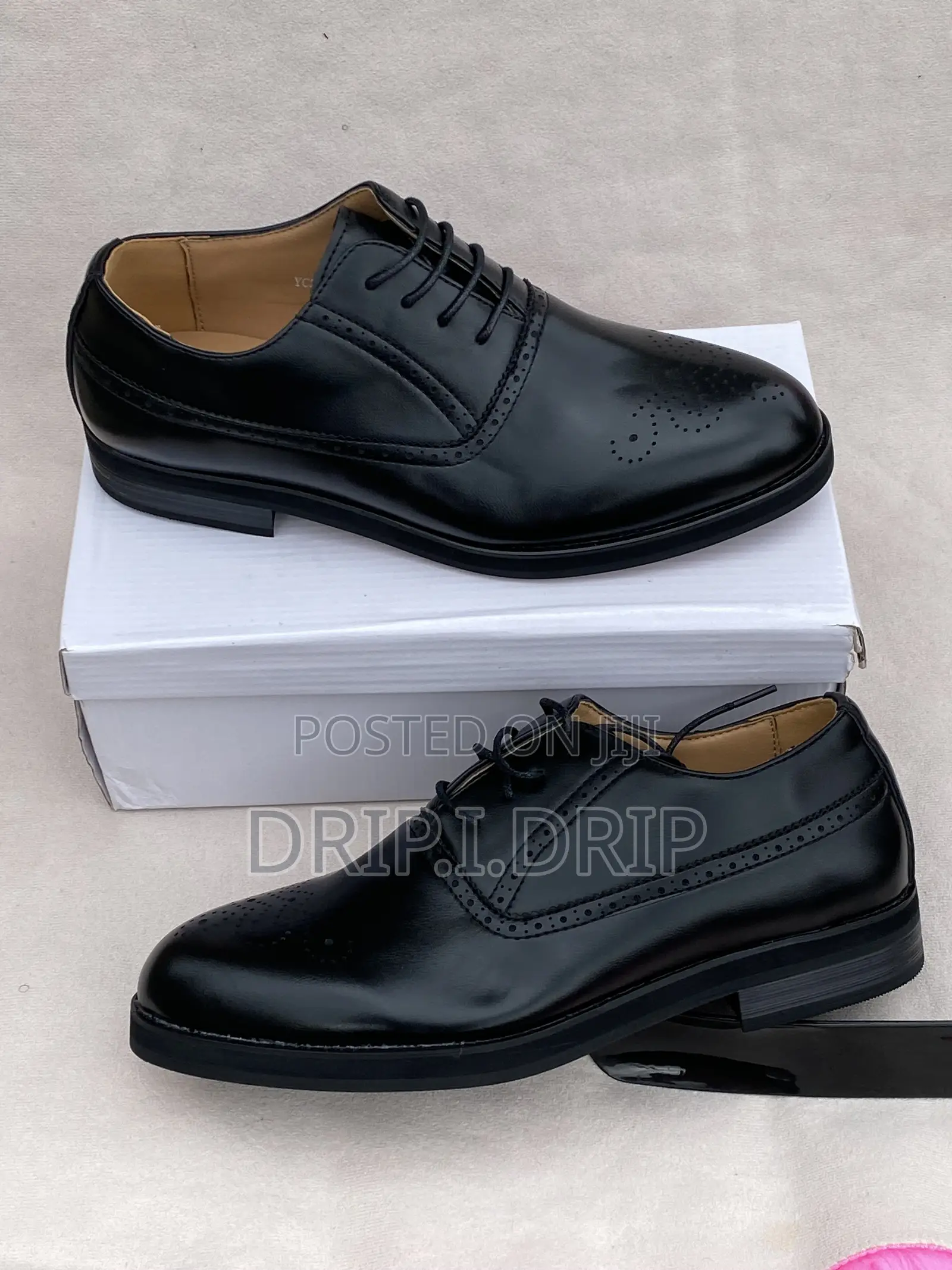 GUCCI Laceup Leather Shoe.Available in All Sizes and Colours .