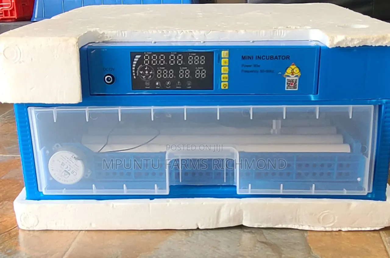 Incubator (70egg Capacity Automatic Incubator)