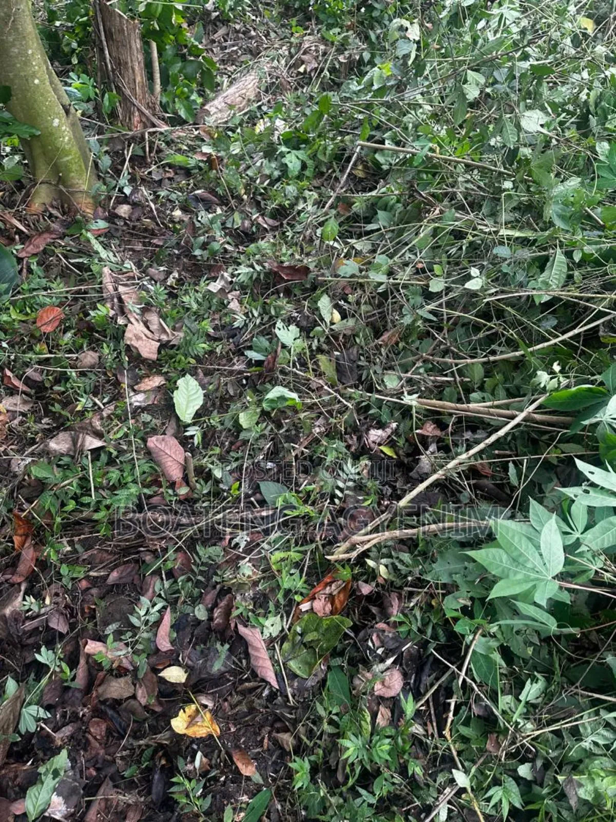 Half Plot in a Developed Estate