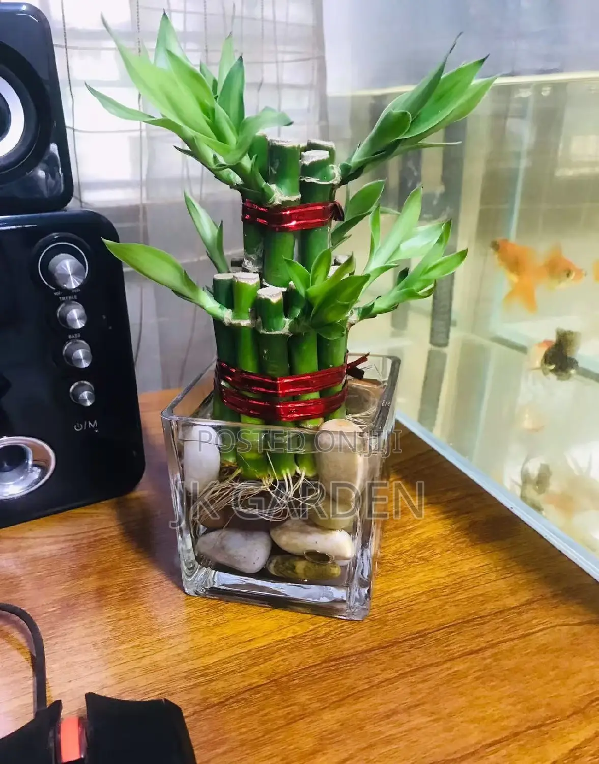 Lucky Bamboo Tower