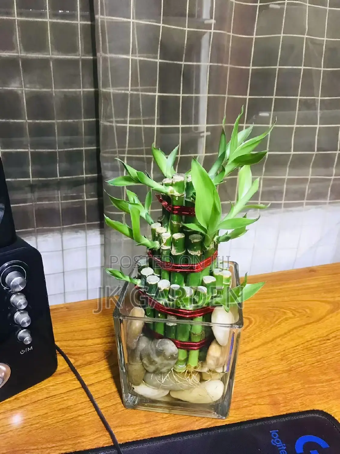 Lucky Bamboo Tower