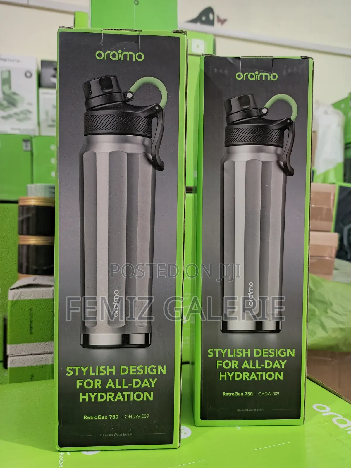 Oraimo RetroGeo 730 Sports Aesthetics 730ml Insulated Water Bottle