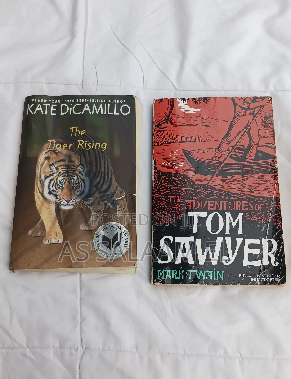 Classic Reading Book Bundle – 2 Books (Used, Good Condition)