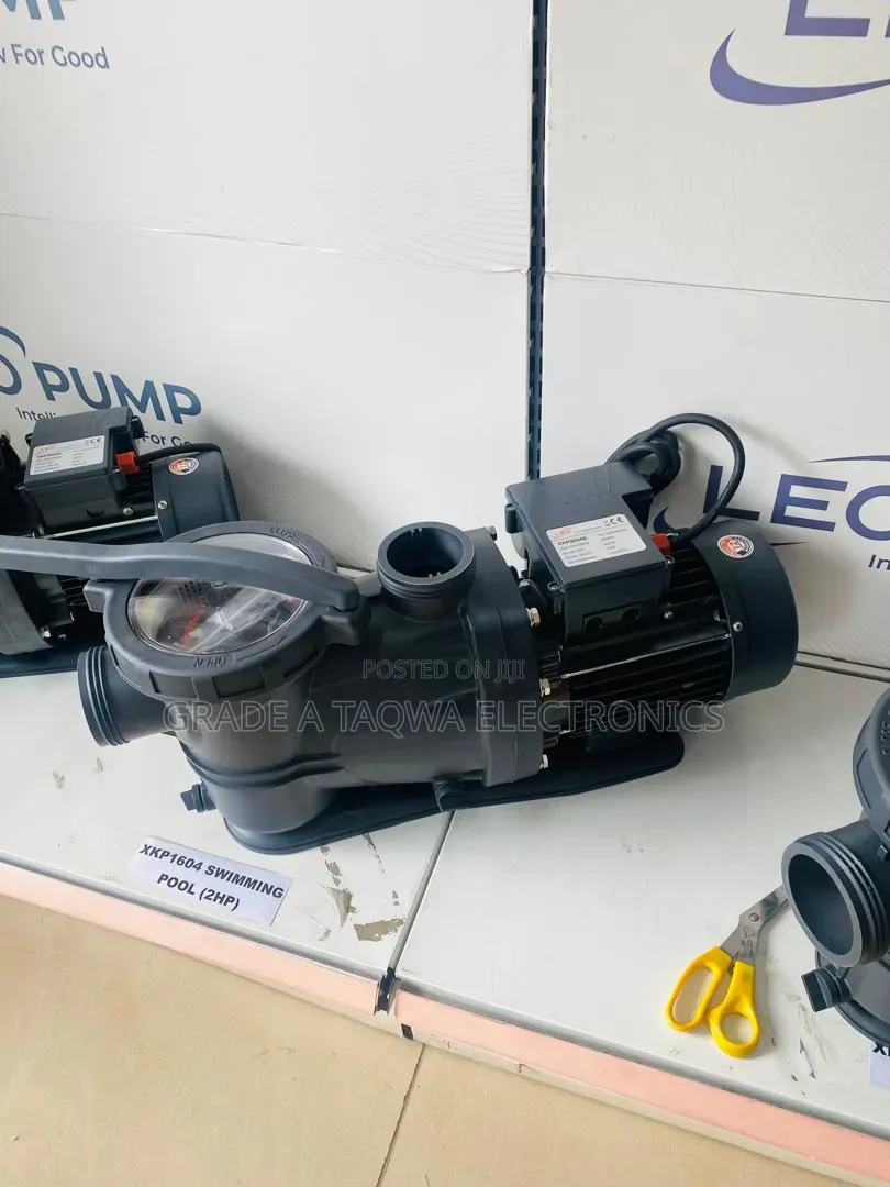 2-Inch Connection Leo 2 Horsepower Swimming Pool Pump