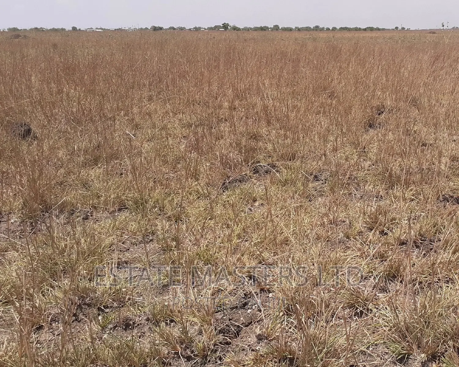 Titled Commercial Plots for Sale