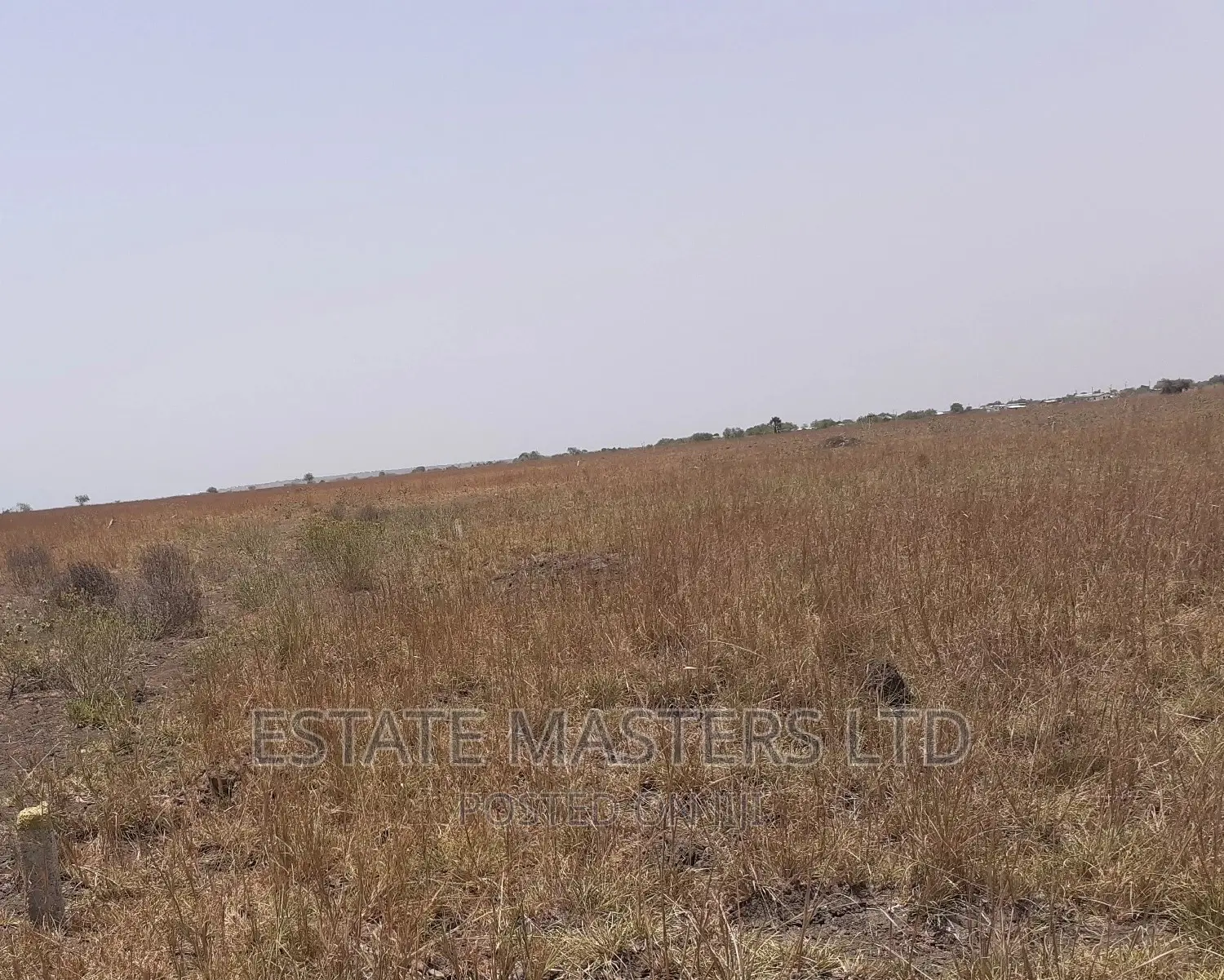 Habitable Area Land