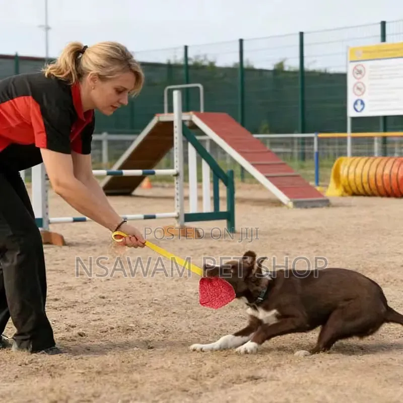 Dog Bite Tug