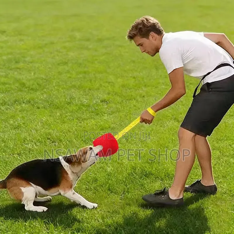 Dog Bite Tug