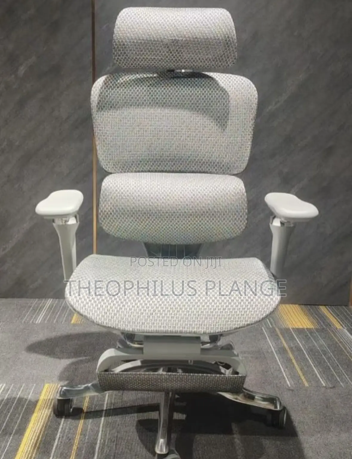 Alfordsom Ergonomic Swivel Chair