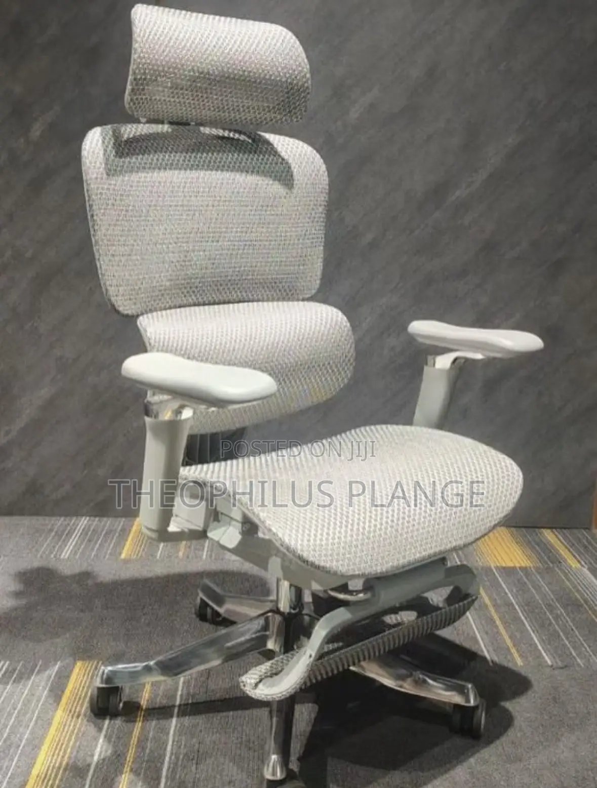 Alfordsom Ergonomic Swivel Chair